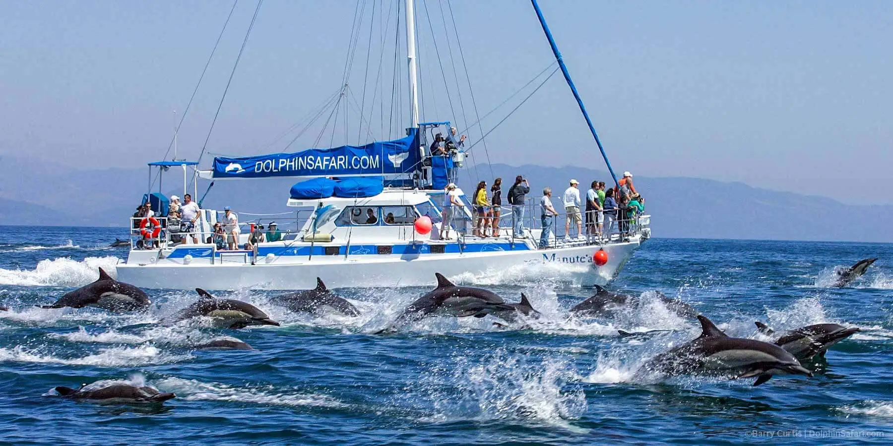 Dolphin watching boat tour in Sri Lanka